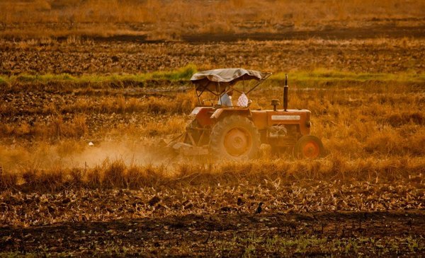Comment réaliser la transition écologique de l'agriculture ?