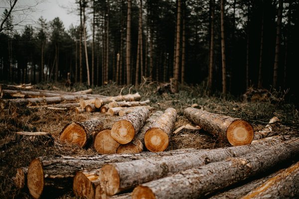 Les Menaces Sur la Nature et Comment Les Éviter